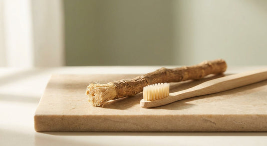 A miswak stick and a bamboo toothbrush resting side by side on a stone surface in warm natural light, highlighting their contrasting textures.