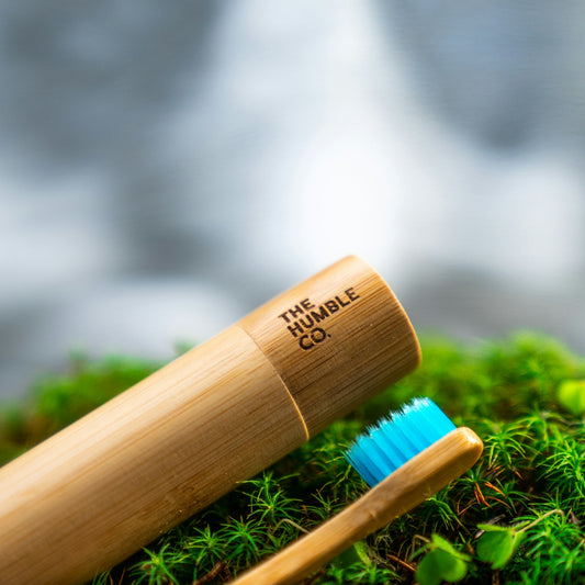 brown wooden stick on green grass
