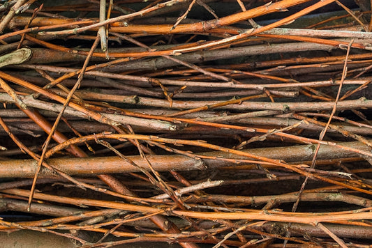 brown dried leaves on ground