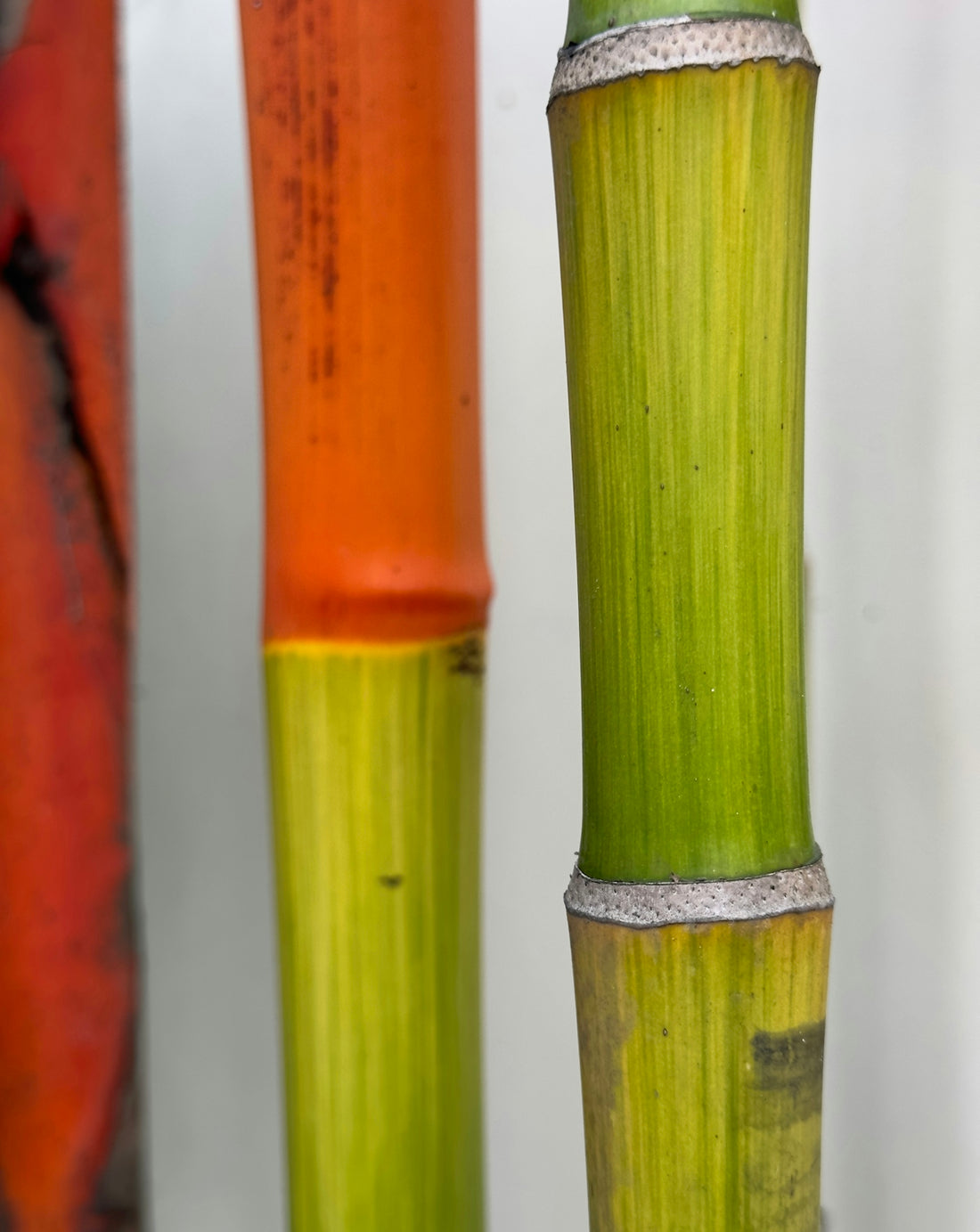 a couple of tall bamboo poles sitting next to each other