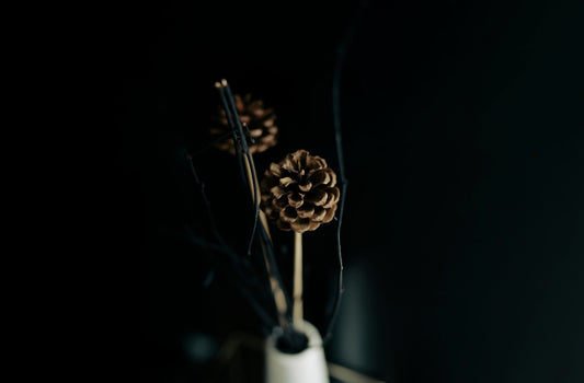 a white vase filled with two pine cones on top of a table