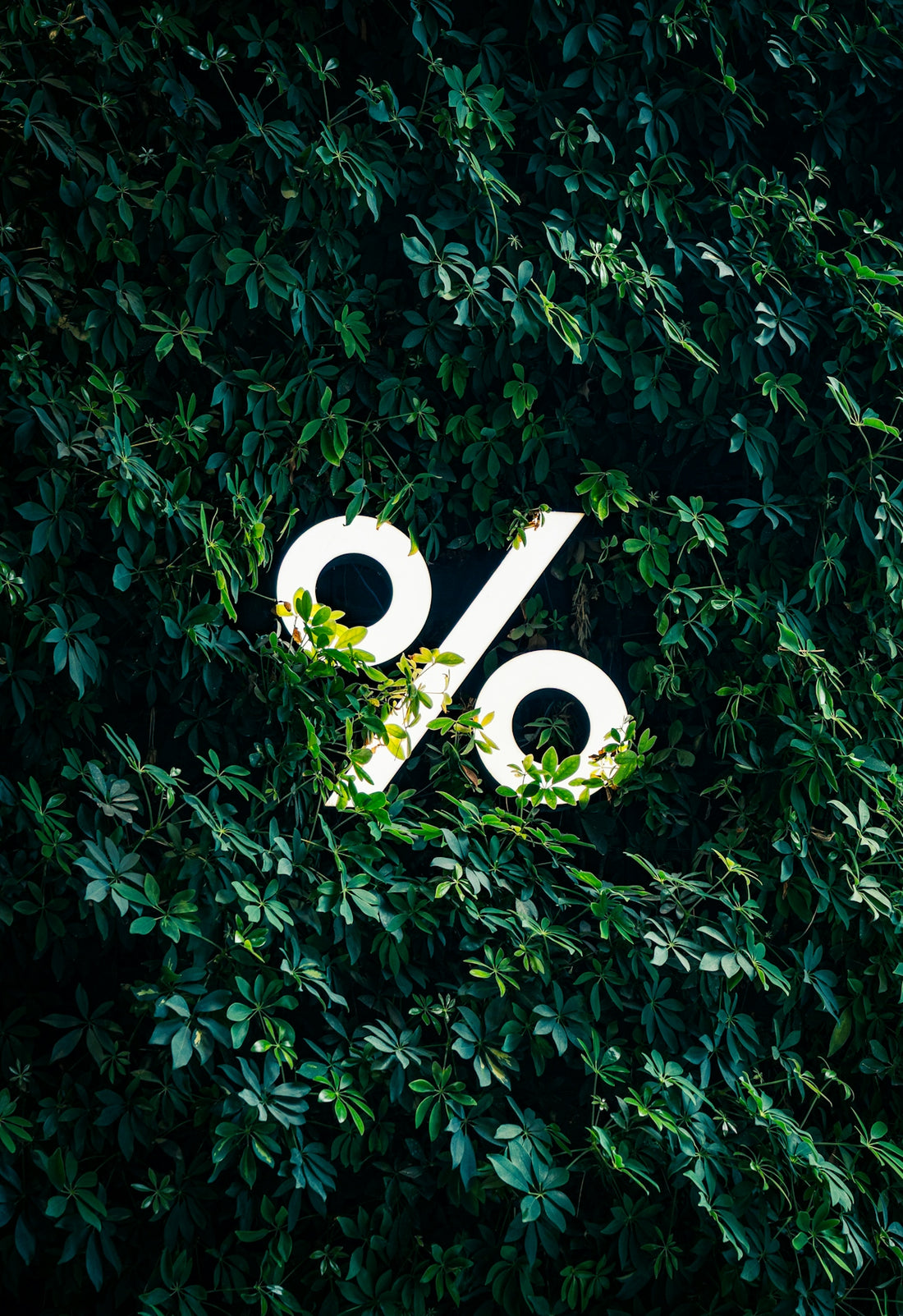 A white percentage sign logo surrounded by green leaves.