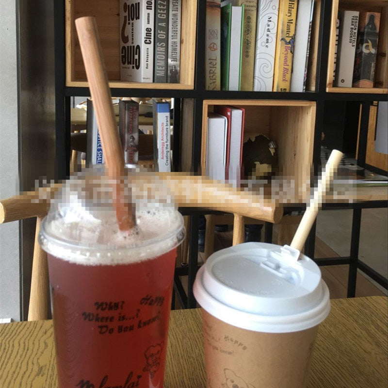 100-Pack Eco-Friendly Reusable Bamboo Straws